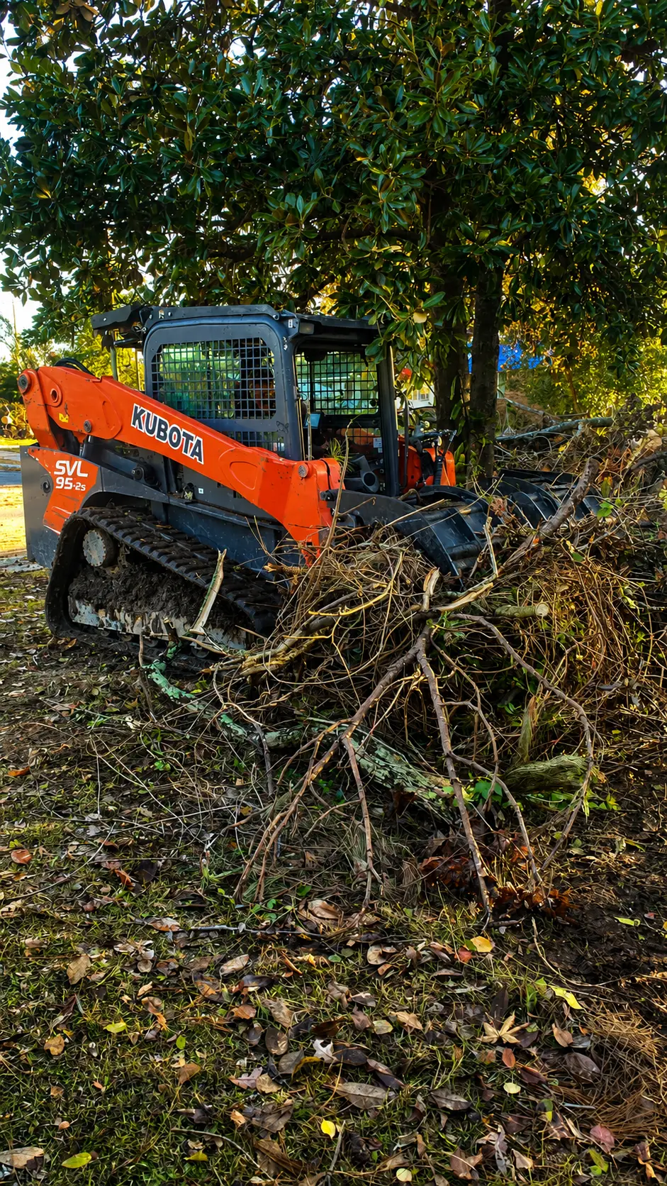 Land clearing in rural Georgia
